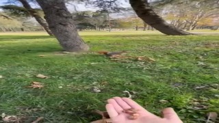 Sincabı kendi elleriyle böyle besledi