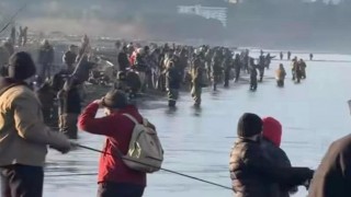 Sınırı aşan firari Türk somonları Gürcülerin ortasına takıldı