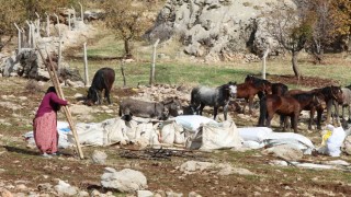 Şırnakta göçerlerin kışlaklara doğru zorlu yolculukları devam ediyor
