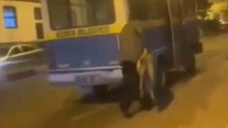 Sokak köpeğine yapılan müdahaleye tepki: Bırak çığlıklarıyla engellemeye çalıştılar