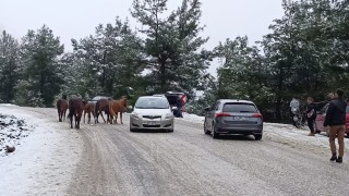 Spil Dağı Milli Parkı beyaza büründü