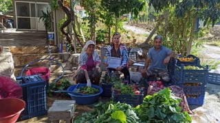 ‘Tarladan Sofraya Güvenilir Gıda denetimleri sürüyor
