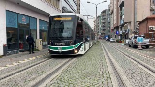 Tramvay yolundaki keyif uykusunu vatman bozdu