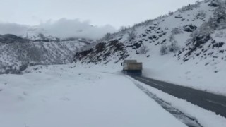 Tuncelide kar yağışı etkisini sürdürüyor