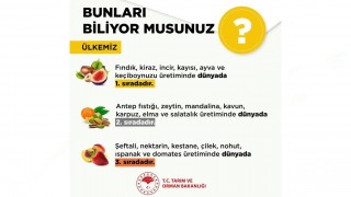 Türkiye Tarım Ürünlerinde Dünya Lideri
