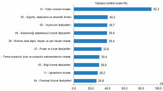 Türkiye'deki Yabancı Kontrollü Girişim Sayısı 2022'de Artış Gösterdi