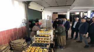 Türkiyenin dört bir yanına bu soğuk hava deposundan meyveler gidiyor