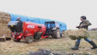 Üniversiteli çoban kış mevsiminde küçükbaş hayvan bakımının zorluklarını anlattı
