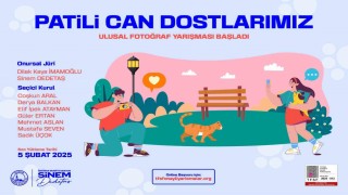 Üsküdar Belediyesi “Patili Can Dostlarımız” ulusal fotoğraf yarışması başladı