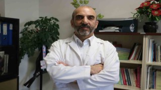 Uzmanı ayı saldırılarına karşı uyardı: “Kaçmayın, irileşin”