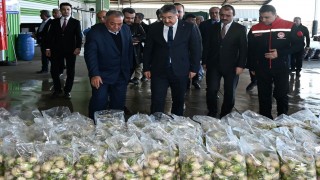 Vali Yılmaz, Turp Paketleme Tesisini Ziyaret Etti