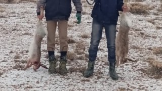 Vanda vurduğu tavşanları sosyal medyadan paylaşan şahsa 14 bin lira ceza