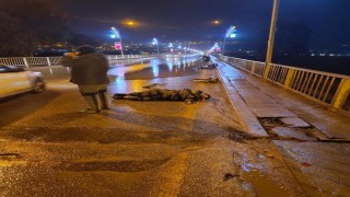 Vicdansız sürücü çarptığı kadın ve adamı ölüme terk etti