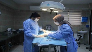 Yaralı halde bulunmuştu, adını portakal koydular