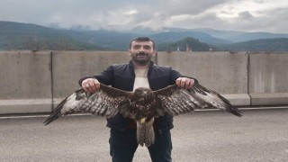 Yaralı Şahin jandarmaya teslim edildi