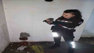 Yaramaz yavru kedi, apartman boşluğuna düştü