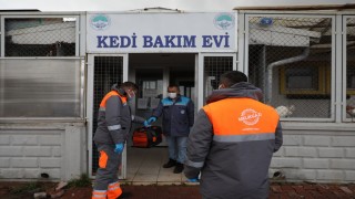 Yardıma muhtaç sokak hayvanları Melikgazinin sevimli dost ambulansı ile hayata tutundu