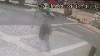 Yaya geçidinden geçen köpeğe otomobil çarptı