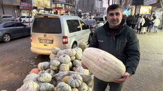 Yüksekovada kışın vazgeçilmezi: Bal kabak