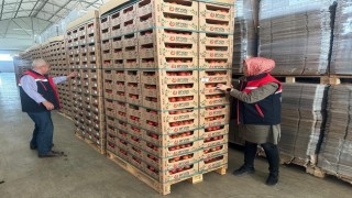 23 ülkeye 8 bin 700 ton domates ihracatı gerçekleştirildi