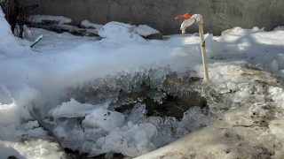 Ağrı dondu: Eksi 15i gördü