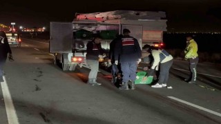 Aksarayda otomobilin çarptığı adam hayatını kaybetti