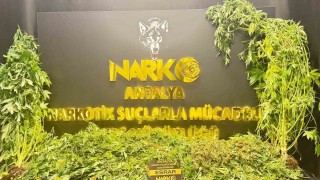 Antalyada son 1 haftada 11 kilogram skunk ele geçirildi