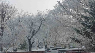 Ardahanda Sibirya soğukları: Göle eksi 19
