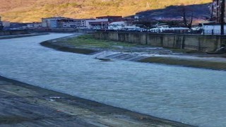 Artvinde derede mahsur kalan karaca kurtarıldı