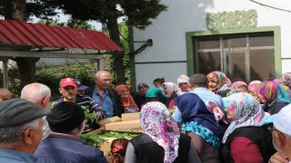 Atakumda çiftçiye 30 bin sebze fidesi ve tohum desteği