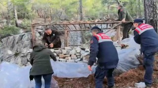 Avcıların ormana yaptığı kaçak barakaları yıkıldı