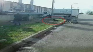 Başıboş köpeğin saldırısına uğradı: O kaçtı, köpek kovaladı