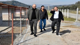 Başkan Zencirci, barınak ve rehabilitasyon merkezi çalışmalarını yerinde inceledi