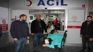 Batmanda ailesiyle pikniğe giden çocuğa sokak köpekleri saldırdı