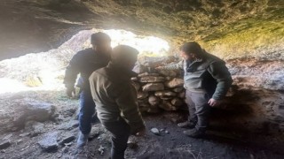 Batmanda yaban hayatını görüntülemek için foto kapanlar kuruldu