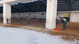 Bayburtta canlı hayvan pazarı yarın açılacak