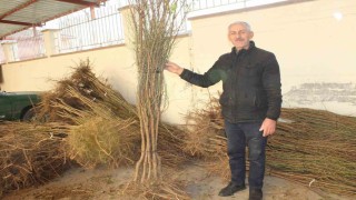 Bin badem fidanı dağıtıldı