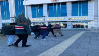 Bingölde hırsızlık yapan 4 şüpheli tutuklandı