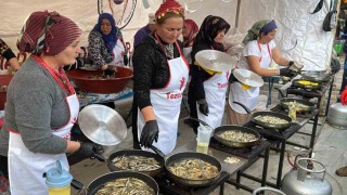 Bodrumda hamsi ziyafeti: 3 ton hamsi dağıtıldı