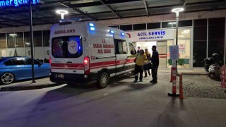 Bodrumda vicdanları sızlatan olay