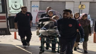 Budadığı ağaçtan düşen şahıs yaralandı