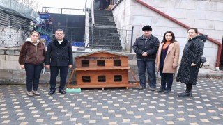 Bünyanda sokak hayvanları için kulübeler yerleştirildi