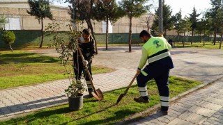 Burak Mahallesinde hasret sona erdi