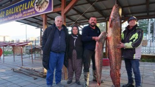 Burdurda gölde tutulan dev yayın balığı görenleri şaşırttı