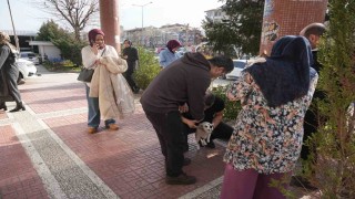 Bursada 4 büyüklüğünde deprem