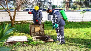 Büyükşehir 913 mahallede bin 500 personelle vektörle mücadele ediyor