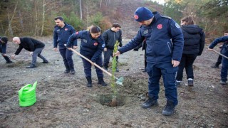 Büyükşehirden kahraman itfaiyecilerin anısına hatıra ormanı