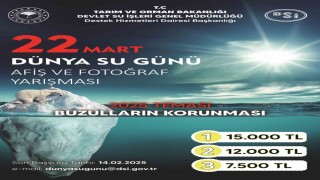 Buzulları en iyi anlatanlar ödüllendirilecek