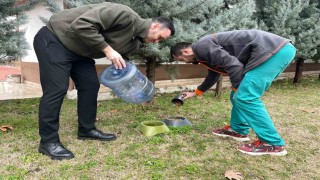Can dostları için mama ve su kapları yerleştirildi