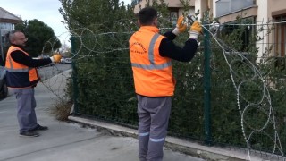 Canlıların hayatına mal olan jiletli teller kaldırılıyor